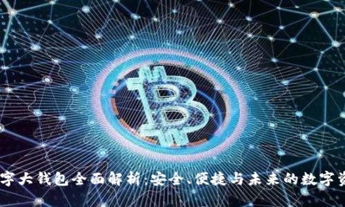 DECP数字大钱包全面解析：安全、便捷与未来的数字资产管理