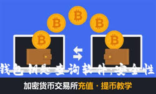 全面解析区块链钱包钥匙查询软件：安全性、功能与使用指南