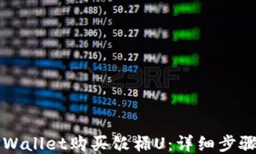 
如何通过TPWallet购买饭桶U：详细步骤与技巧分享