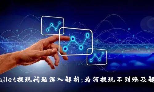 : TPWallet提现问题深入解析：为何提现不到账及解决方案