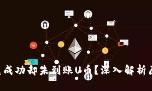  TPWallet闪兑成功却未到账U币？深入解析原因及解决方案
