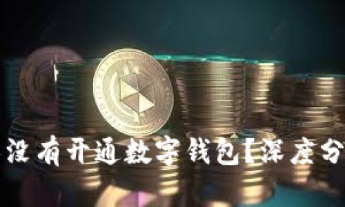 为什么许多人没有开通数字钱包？深度分析与解决方案