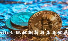 TPWallet：现状剖析与未来发