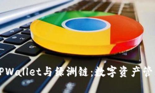 深入探索TPWallet与绿洲链：数字资产管理的新纪元
