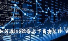 全面攻略：如何在iOS设备