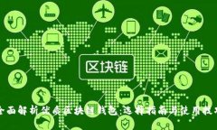 全面解析优质区块链钱包