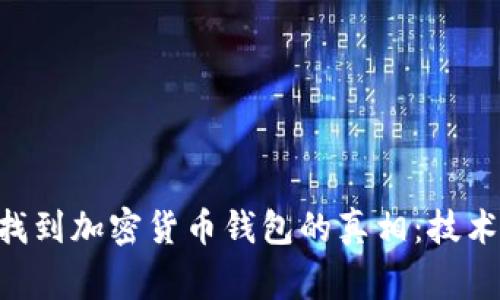 国家能否查找到加密货币钱包的真相：技术、法律与未来