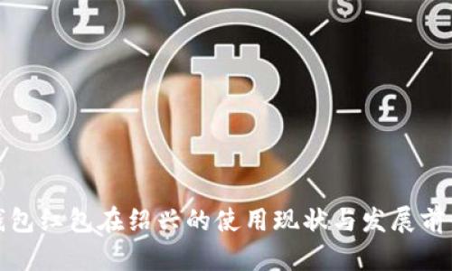 数字钱包红包在绍兴的使用现状与发展前景分析