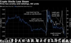 TPWallet资金失踪：原因、解