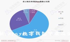 全面解析：Xpay数字钱包下