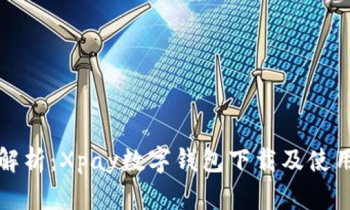 全面解析：Xpay数字钱包下载及使用指南