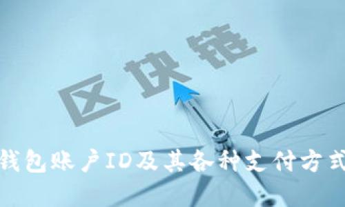 数字钱包账户ID及其各种支付方式详解