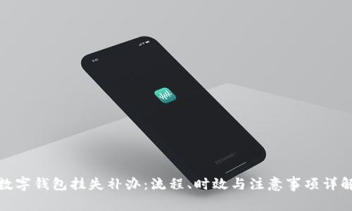 数字钱包挂失补办：流程、时效与注意事项详解