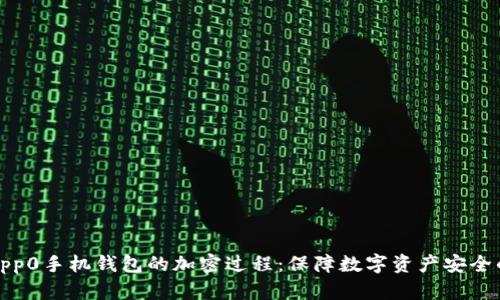 深入探讨0pp0手机钱包的加密过程：保障数字资产安全的技术基础