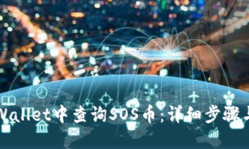 如何在TPWallet中查询SOS币：详细步骤与实用技巧