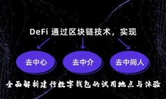 全面解析建行数字钱包的