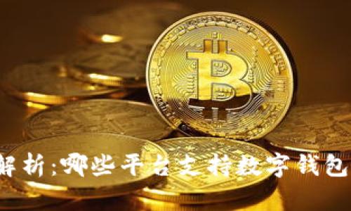 全面解析：哪些平台支持数字钱包转账？