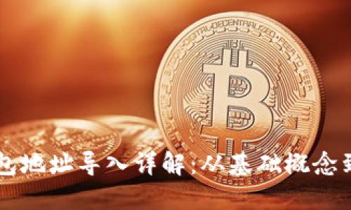 区块链钱包地址导入详解：从基础概念到实操指南