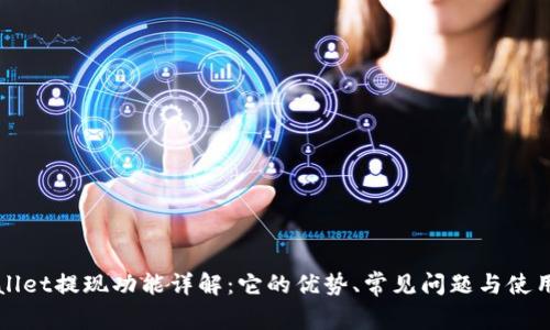 TPWallet提现功能详解：它的优势、常见问题与使用指南