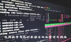 选择数字钱包时最安全的