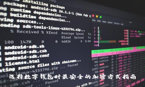 选择数字钱包时最安全的加密方式指南
