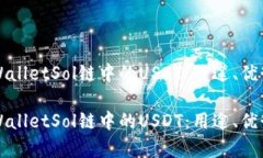 深入解析TPWalletSol链中的