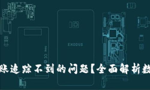 如何解决数字钱包转账追踪不到的问题？全面解析数字钱包的安全与便利
