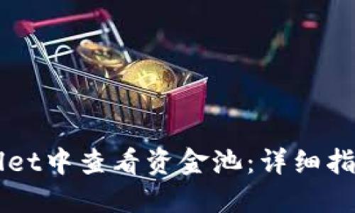 如何在TPWallet中查看资金池：详细指南与实践应用