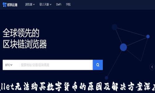 
TPWallet无法购买数字货币的原因及解决方案深度解析