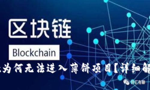 新版TPWallet为何无法进入薄饼项目？详细解析与解决方案