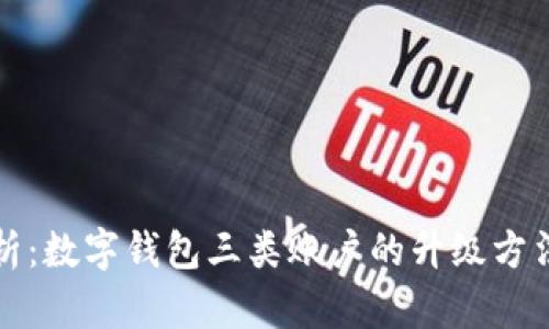 全面解析：数字钱包三类账户的升级方法与技巧