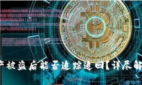 :TPWallet资产被盗后能否追踪追回？详尽解析与防护建议