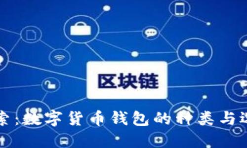 深入探索：数字货币钱包的种类与选择指南