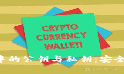 : 全面解析区块链钱包中的公钥与私钥：安全性、工作原理与最佳实践