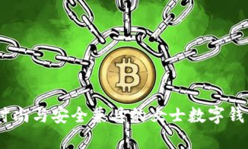 全面解析：时尚与安全兼具的女士数字钱包名称大全