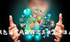 数字钱包消失的原因及其