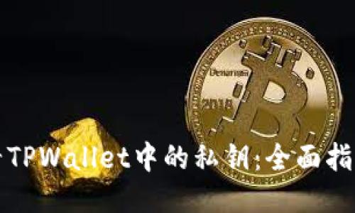 如何查看TPWallet中的私钥：全面指南与技巧