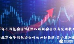 数字电子钱包安全吗？深