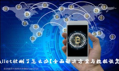 TPWallet被删了怎么办？全面解决方案与数据恢复策略
