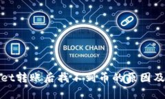 : tpWallet转账后找不到币的