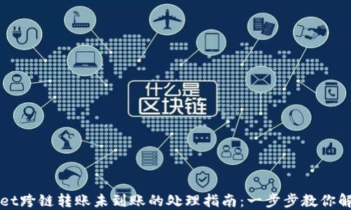 
TPWallet跨链转账未到账的处理指南：一步步教你解决问题