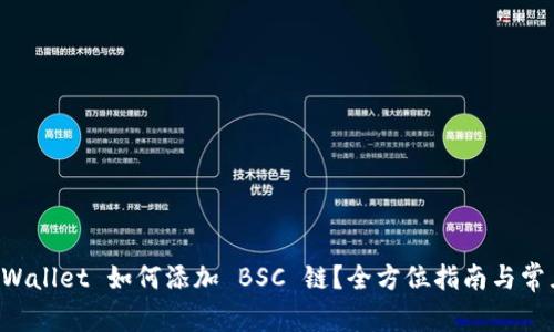 电脑版 TPWallet 如何添加 BSC 链？全方位指南与常见问题解答
