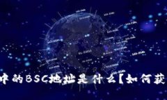 TPWallet中的BSC地址是什么？