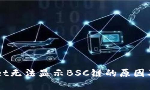 电脑版TPWallet无法显示BSC链的原因及解决方案详解