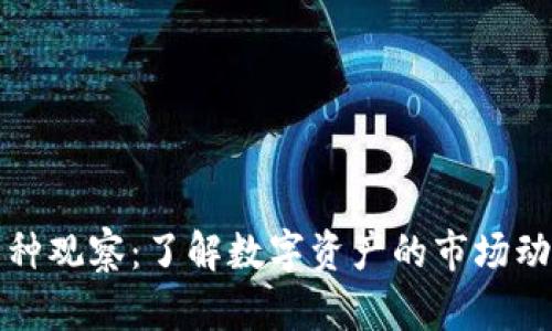 : TPWallet币种观察：了解数字资产的市场动态与投资趋势