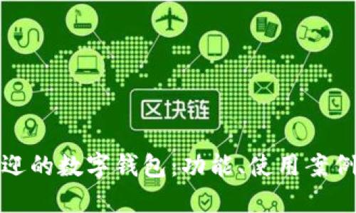 全球最受欢迎的数字钱包：功能、使用案例与市场趋势