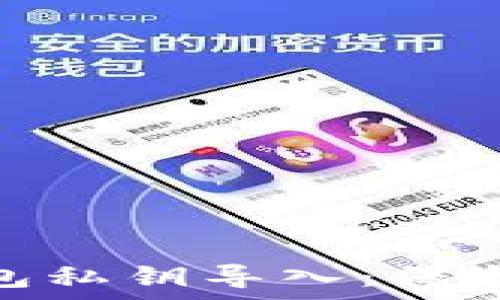   
全方位解析数字钱包私钥导入：保护与风险并存的关键
