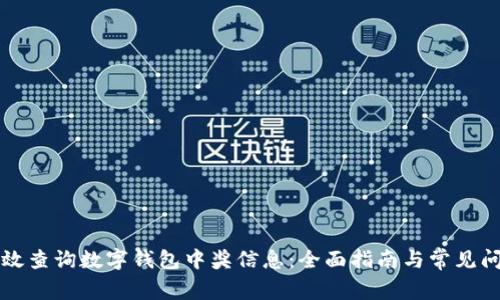 如何高效查询数字钱包中奖信息：全面指南与常见问题解析