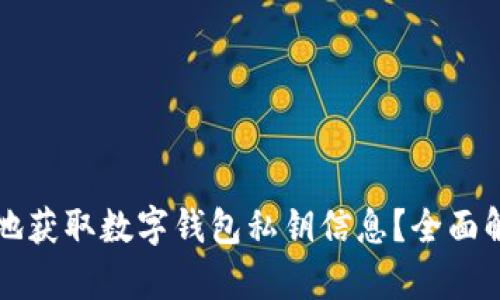如何安全有效地获取数字钱包私钥信息？全面解析与风险提示
