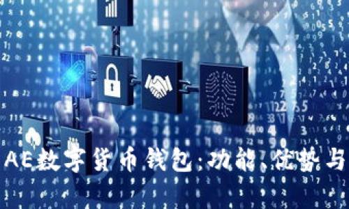 全面解析AE数字货币钱包：功能、优势与使用技巧